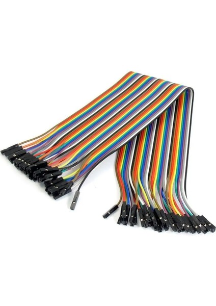 40 Pinli Dişi Dişi Jumper Kablo - 30 cm