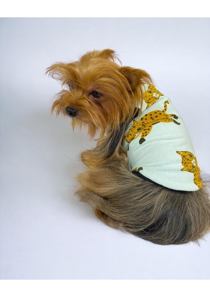 Baby Leo Atlet Köpek Kıyafeti Köpek Elbisesi