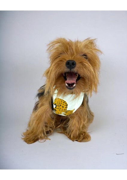 Baby Leo Atlet Köpek Kıyafeti Köpek Elbisesi