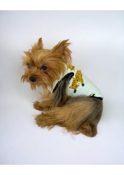 Baby Leo Atlet Köpek Kıyafeti Köpek Elbisesi