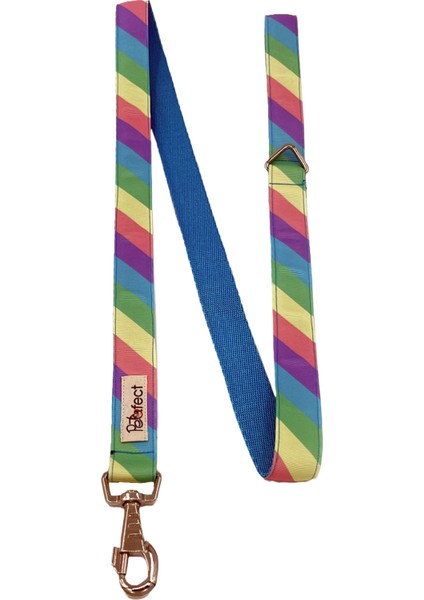 Rainbow Köpek Gezdirme Kayışı