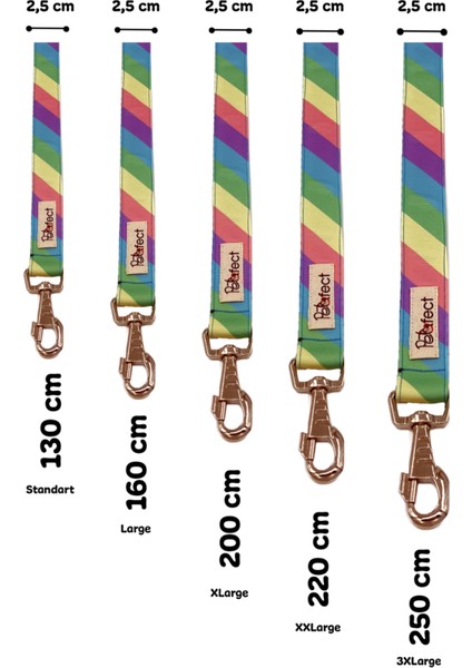 Rainbow Köpek Gezdirme Kayışı
