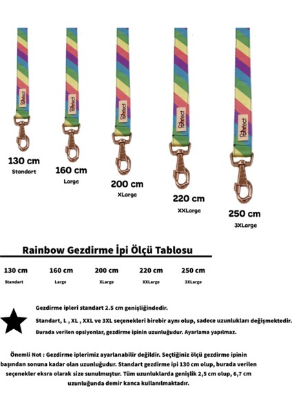 Rainbow Köpek Gezdirme Kayışı