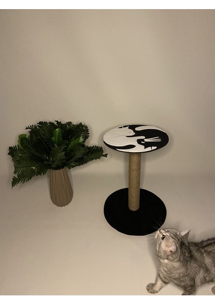 Patimine Tasarım Yin Yang Kedi Tırmalama Tahtası