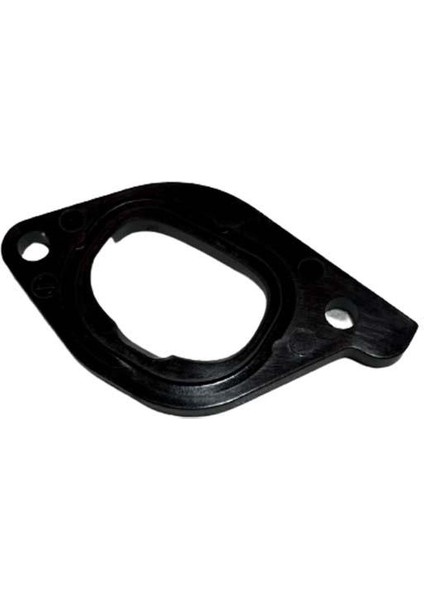 Honda Nss FORZA250-300 2014-2020 Manifold Fiberi A Dp2