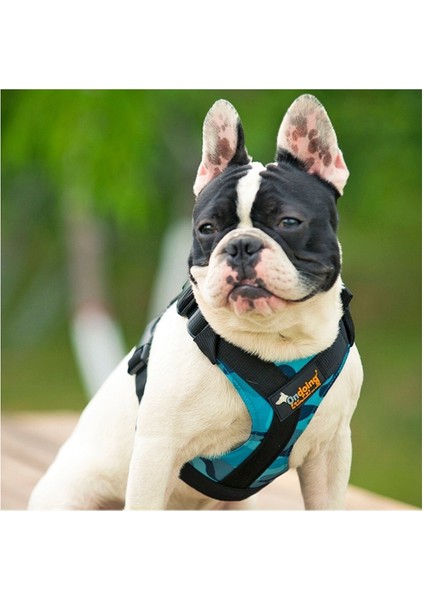 Evcil Köpek Askısı (Yurt Dışından)