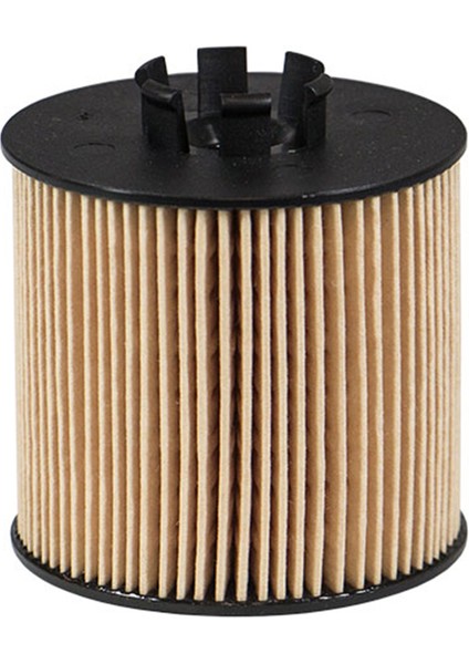Vw Golf 6 1.4 Tsı Cax Yağ Filtresi 2009 Filtron