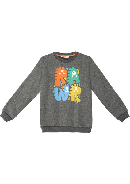 Rawr Tırtırlı Erkek Çocuk Antrasit Eşofman Takım indirimleri