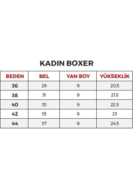 66250 Kadın Lacivert Çizgili Büstiyer Slip Takım indirimleri