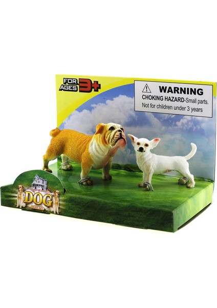 Buldog ve Şivava (Chihuahua) Model Hayvan Köpek