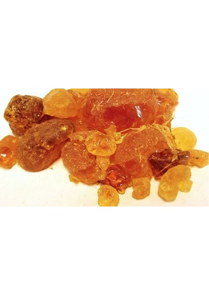 Arap Zamkı (Akasya Sakızı) Arabic Gum Zamkı Arabi Akasya Gamı 100 gr