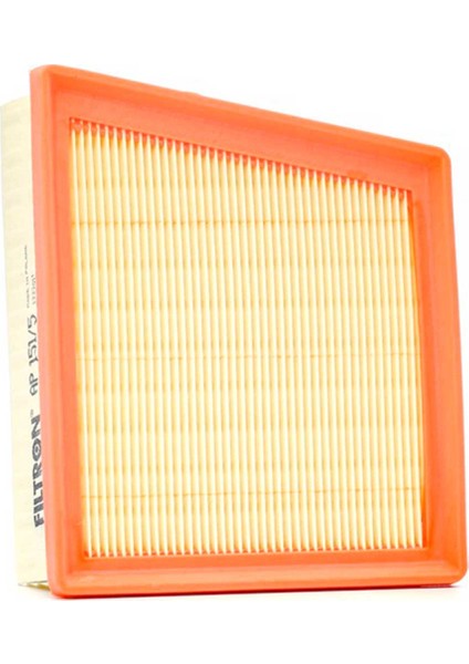 Ford Fiesta 1.4 Hava Filtresi 2009-2017 Filtron