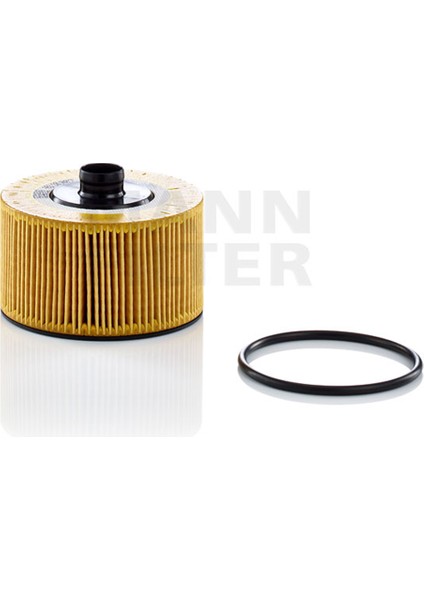 Mann Filter HU10002Z Yağ Filtresi 152095084R - 15209-00Q0F - 2811800010