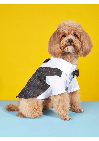 Kedi Köpek Kıyafeti Köpek Takım Elbise Lacivert