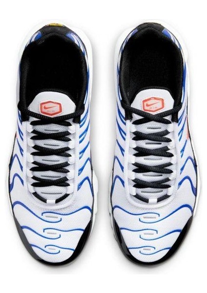 Air Max Plus