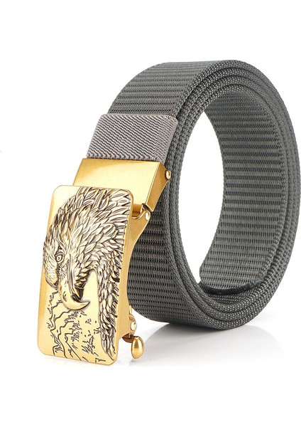 Erkek Alaşım Toka Naylon Kemer (Yurt Dışından)