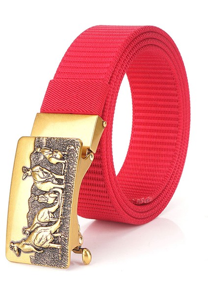 Erkek Için Dişsiz Alaşımlı Otomatik Tokalı Naylon Kemer (Yurt Dışından)