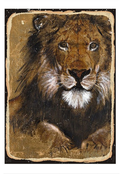 Aslan Model Mdf Tablo