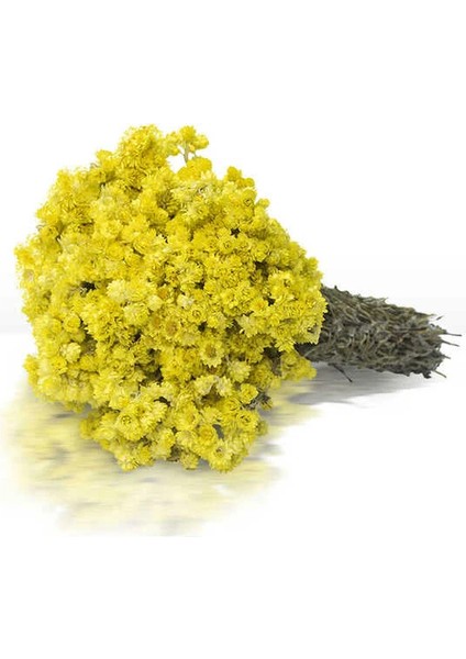 Altın Otu 1 Demet 100 gr