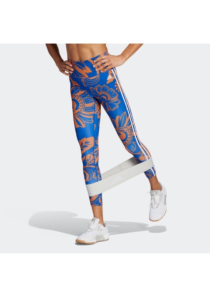 Kadın Tayt IM2378 modelleri