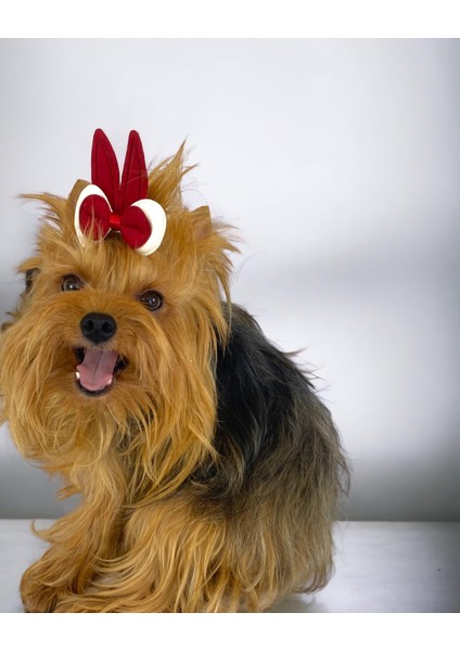 Köpek Tokası Bunny Red Toka Köpek Aksesuar