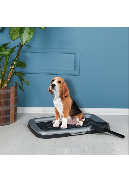 Pet Plastart Akıllı Köpek Tuvaleti fırsatları