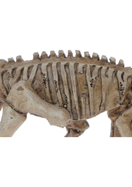 Reçine Dinozor Süsleri Sürüngen Amfibiler Terrarium Vivarium Habarium Akvaryum Peyzajı Dekorasyonu, Gizekler Yerleri (Yurt Dışından) modelleri
