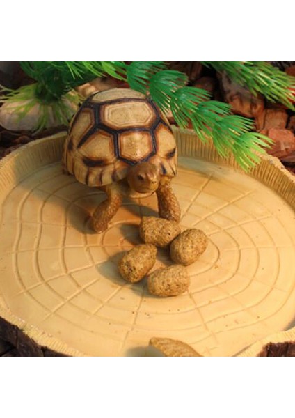 Büyük Sürüngen Besleme Kasesi Terrarium Dish Pet Gecko Besleyici (Yurt Dışından)