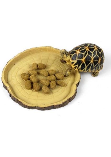 Büyük Sürüngen Besleme Kasesi Terrarium Dish Pet Gecko Besleyici (Yurt Dışından)