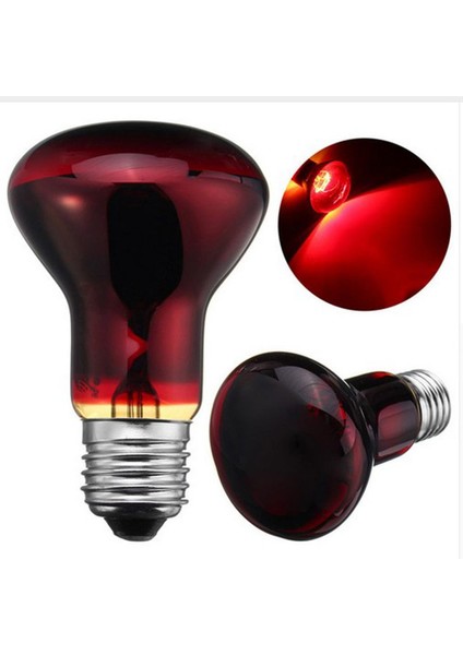 2pcsı Yılan Kaplumbağı Sürüngen Teraryum Isıtma Lambası E27 Light () 60W (Yurt Dışından)