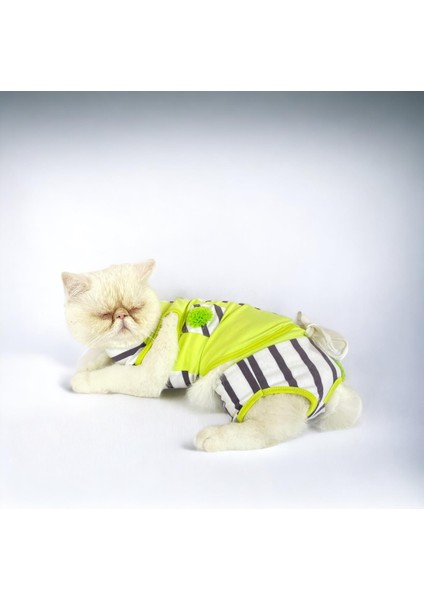Lime Fuzz Tişört ve Iç Çamaşırı Set Kedi Kıyafeti Kedi Kostümü fiyatları