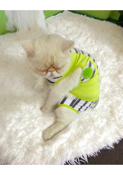 Lime Fuzz Tişört ve Iç Çamaşırı Set Kedi Kıyafeti Kedi Kostümü fırsatları