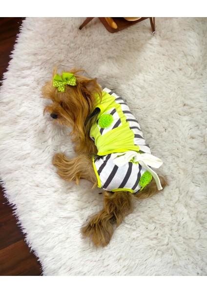 Lime Fuzz Tişört ve Iç Çamaşırı Set Köpek Kıyafeti Köpek Kostümü