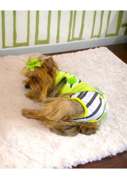 Lime Fuzz Tişört ve Iç Çamaşırı Set Köpek Kıyafeti Köpek Kostümü