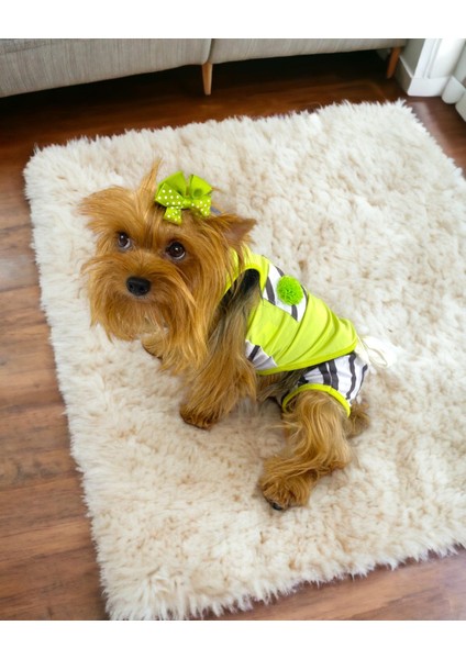Lime Fuzz Tişört ve Iç Çamaşırı Set Köpek Kıyafeti Köpek Kostümü