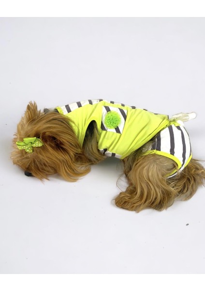 Lime Fuzz Tişört ve Iç Çamaşırı Set Köpek Kıyafeti Köpek Kostümü