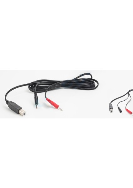 Btl Kombine Terapi Uyumlu Tens Kablosu 20 USB Siyah
