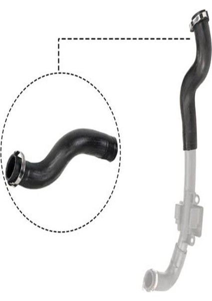 R12501 Turbo Hortumu Buyuk ( Renault : Kangoo Iıı 1.5dci 08-- ) 8200534296 (WA368447)