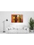 Eliza Home Kediler Cam Tablo 3