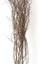 Kuru Bitki Naturel Renk Gürgen Dalı 60 - 80 cm 2