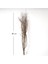 Kuru Bitki Naturel Renk Gürgen Dalı 60 - 80 cm 4