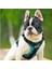 Evcil Köpek Askısı (Yurt Dışından) 4
