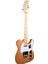 0040TL-N Telecaster Elektro Gitar 1