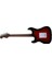 Lst-Rbs Elektro Gitar (Taşıma Çantası Hediyeli) 3