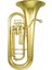 Bas Tuba - Gold Lacquer 1