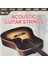 MK10 Akustik Gitar Teli 1