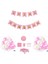 Mini Party Store Pembe Doğum Günü Set 25 Kişilik 1