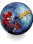 Spider Man Deniz Topu 1