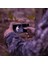 Thermal Compactxr -Termal Kamera - Ios (Lt-Aaa) 5