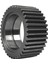 Zf-Çukurova Planet Dişli OEM/4475304203 2